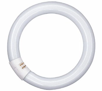 Philips TL-E CIRCULAR SUPER 80 PRO 22W/ 840 G10q d26xD216 33331313165464 люминесцентная лампа